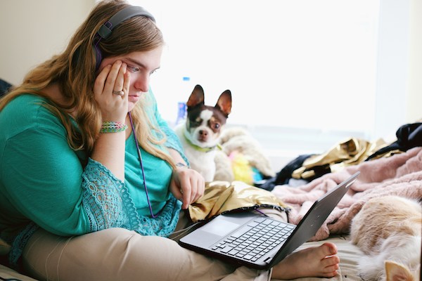 Person reading a blog on a laptop